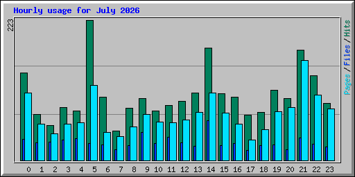 Hourly usage for July 2026
